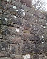 shannonbridge cap-1804.jpg